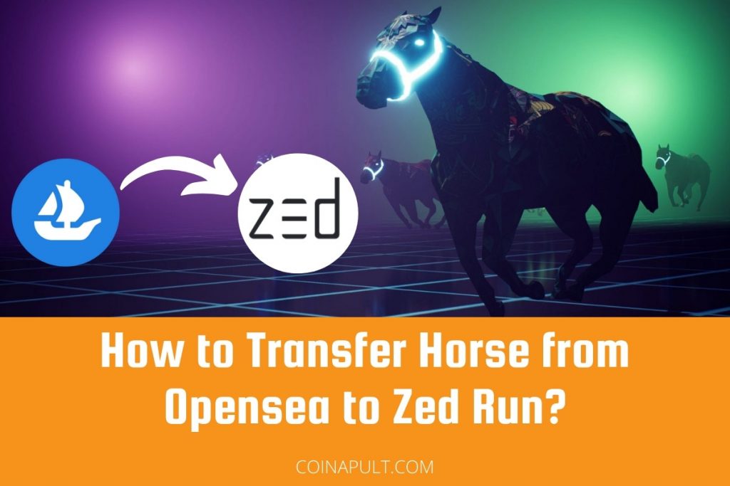 How to Transfer Horse from Opensea to Zed Run? Coinapult